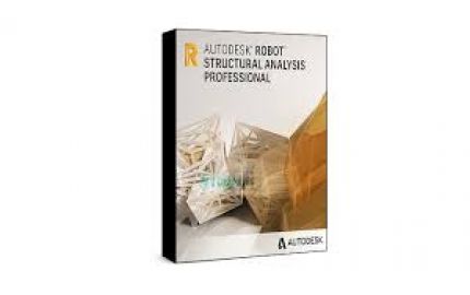 Autodesk Robot Structural Analysis Professional 